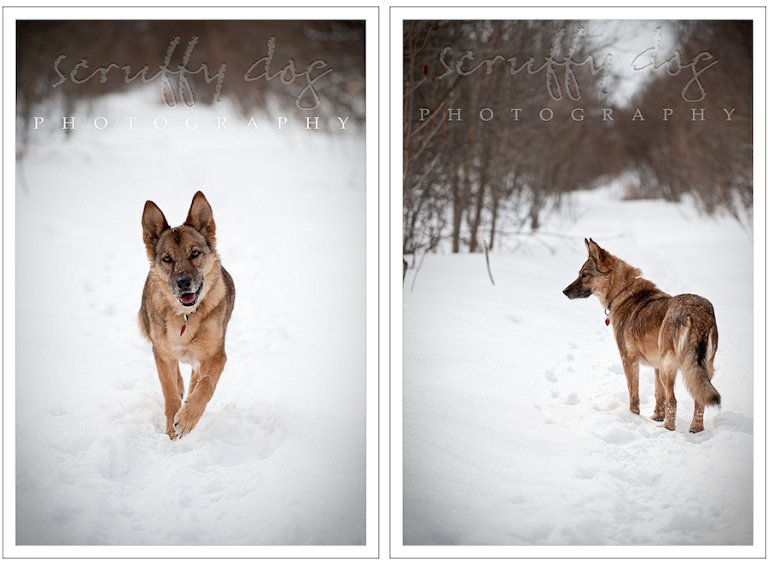 zoey-diptych