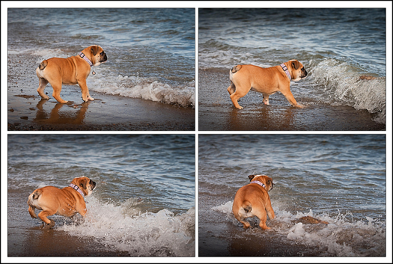 rosie-triptych2