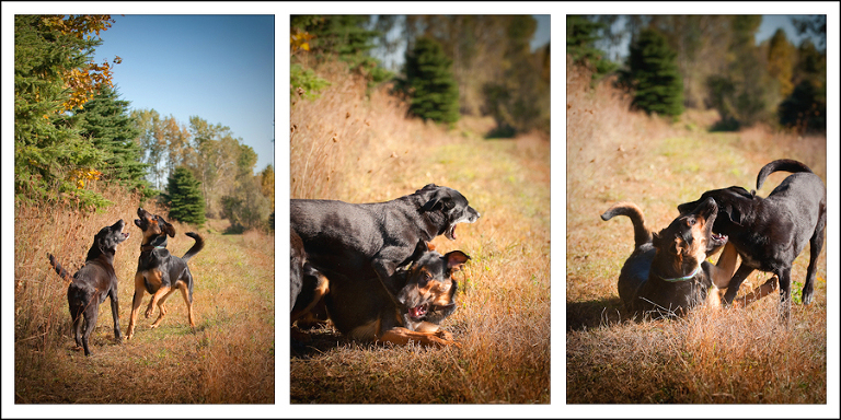 triptych