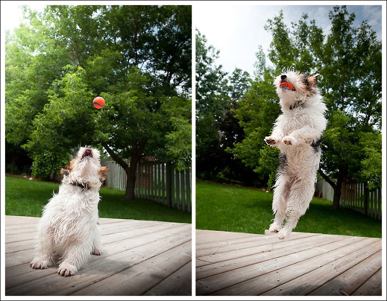 jump-diptych-31