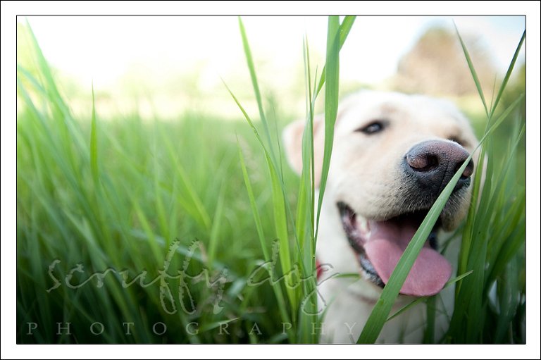 wrigley-543