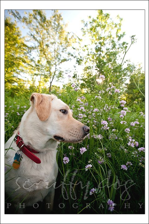 wrigley-562