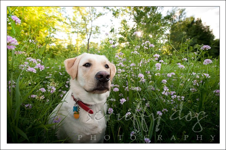 wrigley-570