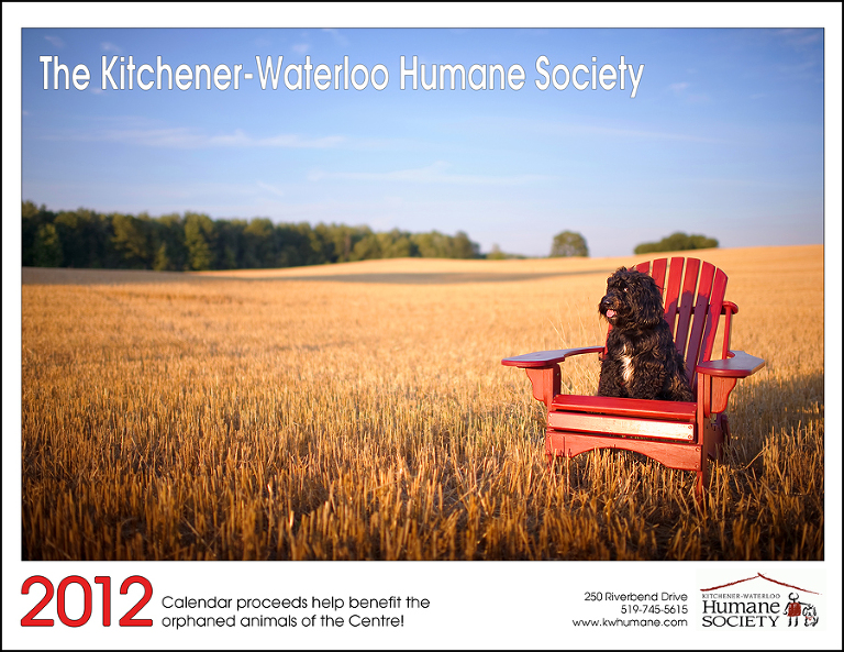 The Kitchener Waterloo Humane Society