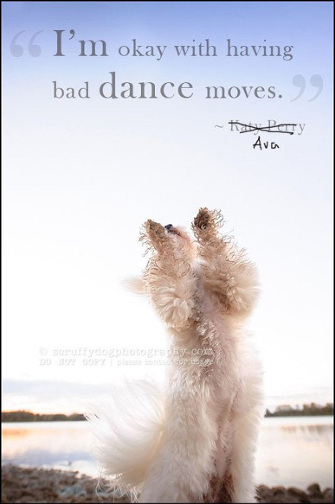 18 toronto ontario pet photography ava winston-603-Edit