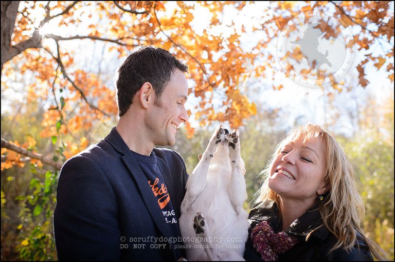 02 Burlington pet photographer jack russell cosmo debenedetti-329