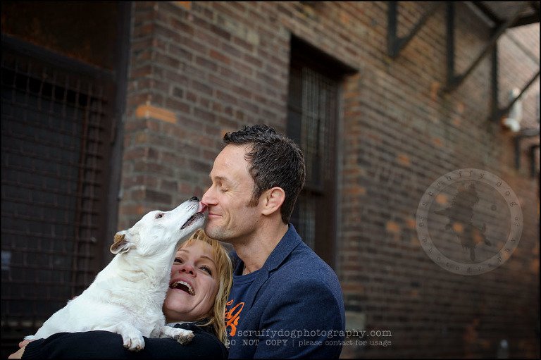 10 Burlington pet photographer jack russell cosmo debenedetti-222