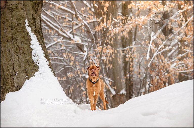 01 elroy chase neubauer-168