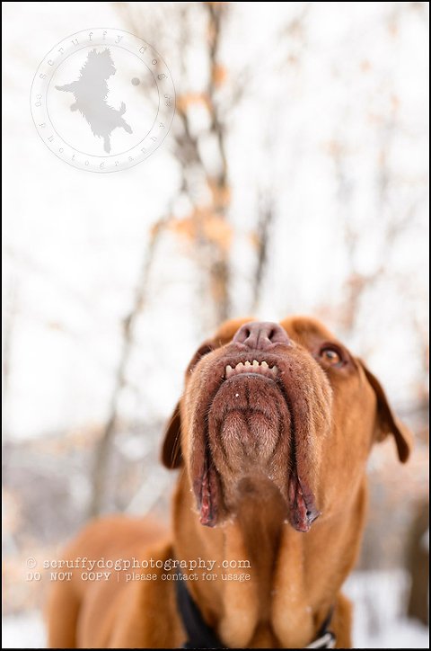 02 elroy chase neubauer-394