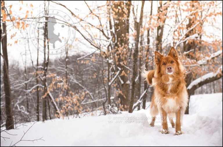 03 elroy chase neubauer-436-Edit