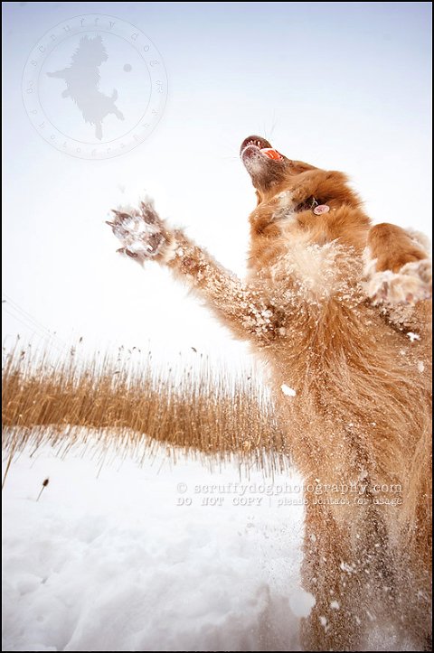 04 elroy chase neubauer-294