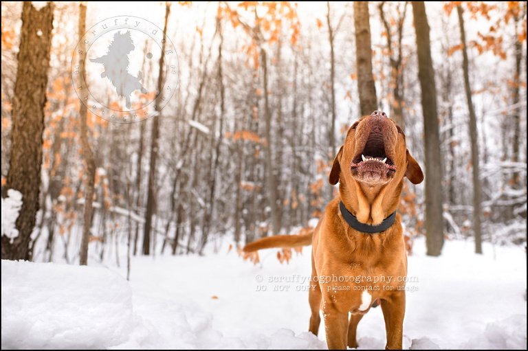 05 elroy chase neubauer-478