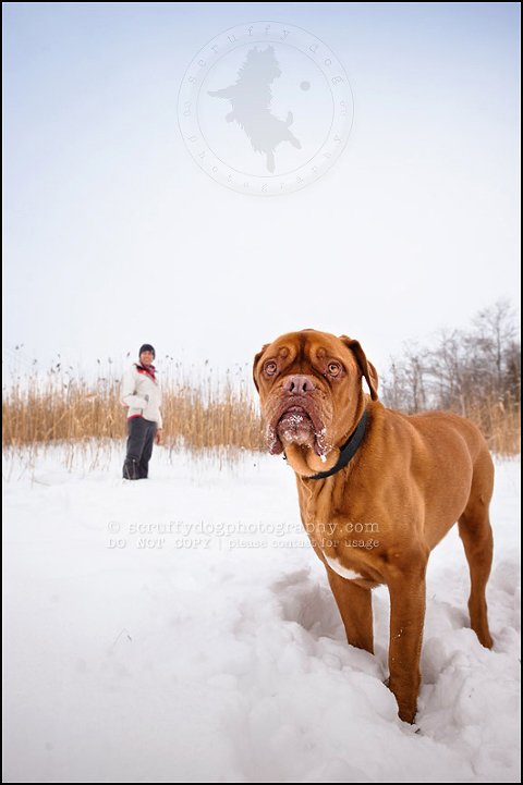 06 elroy chase neubauer-319-Edit