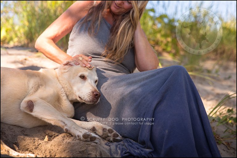 06_ontario_pet_photographer_chewey johnson-137