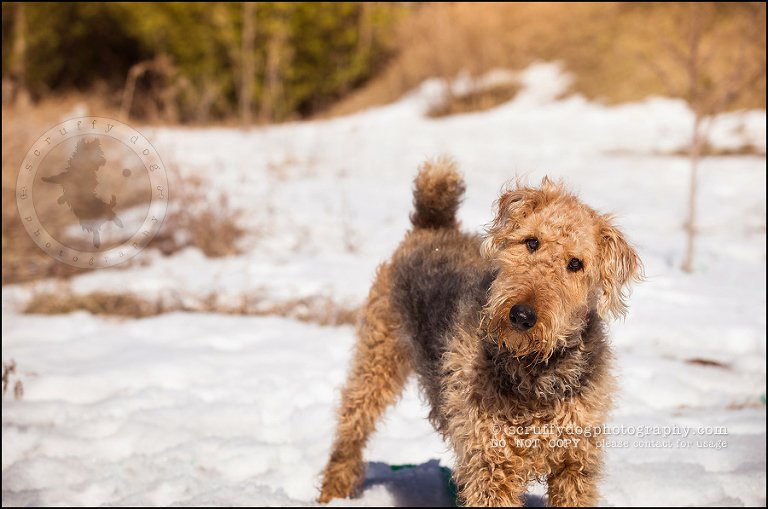 07 cobi ivy chagnon-65