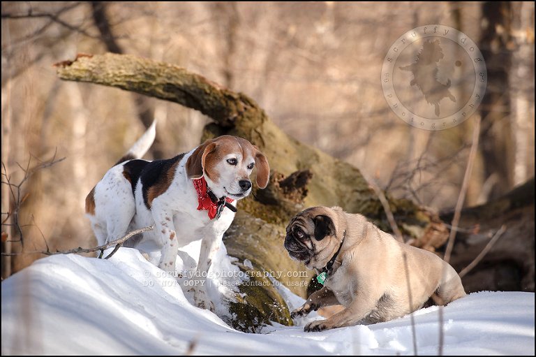 10 jaimie spud bilinski-53-Edit