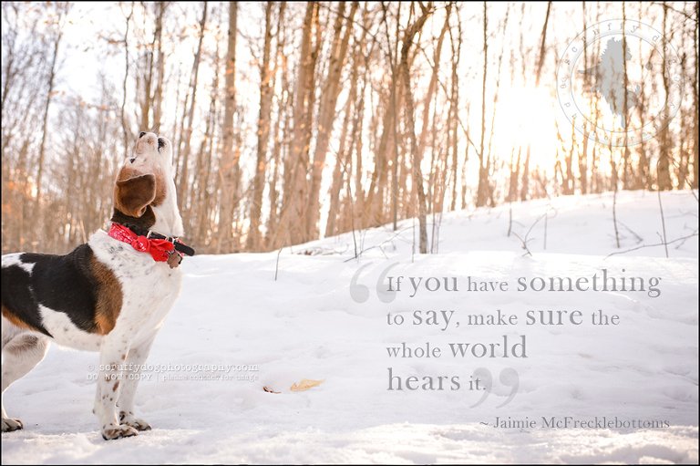 11 jaimie spud bilinski-186