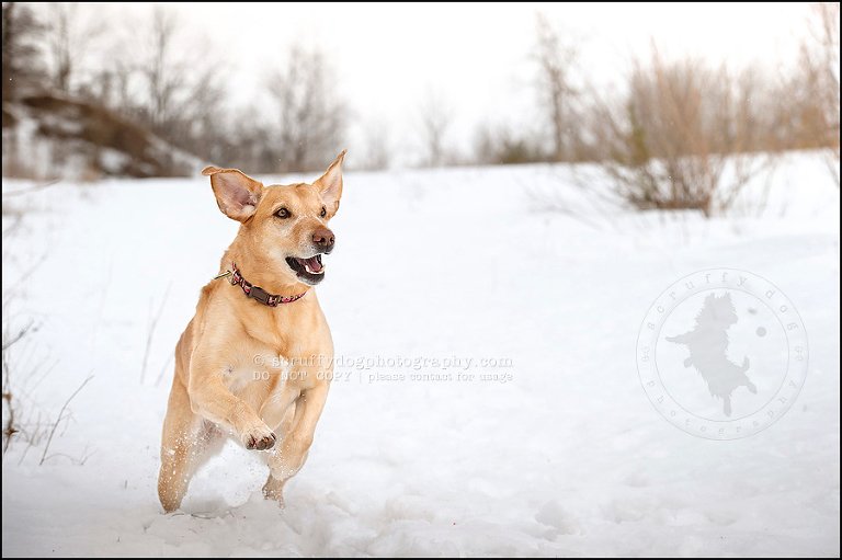 13 molly weisbrod-82