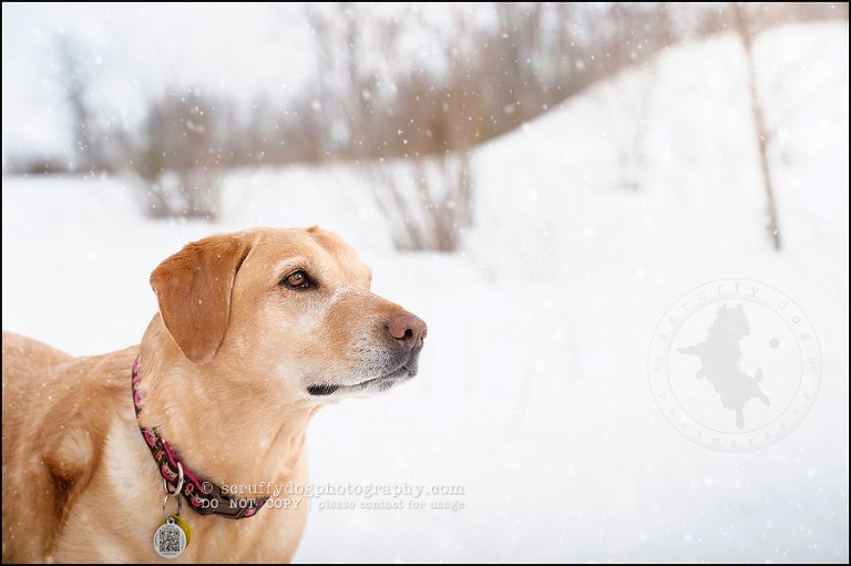 15 molly weisbrod-74