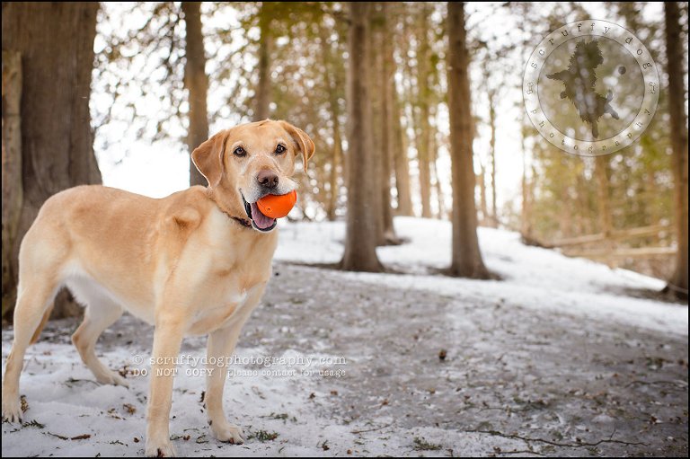 16 molly weisbrod-153