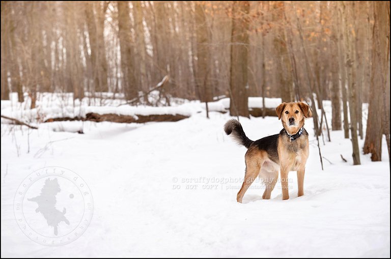 18 rusty yan-58-Edit