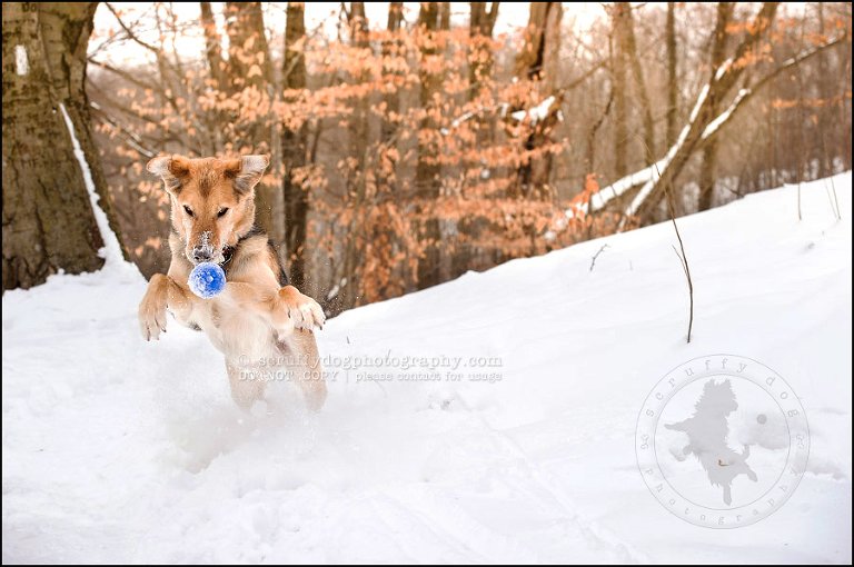 19 rusty yan-103-Edit