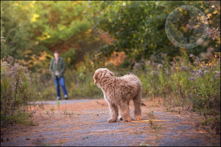 20_toronto_pet_photographer_amadeus wilcox-390