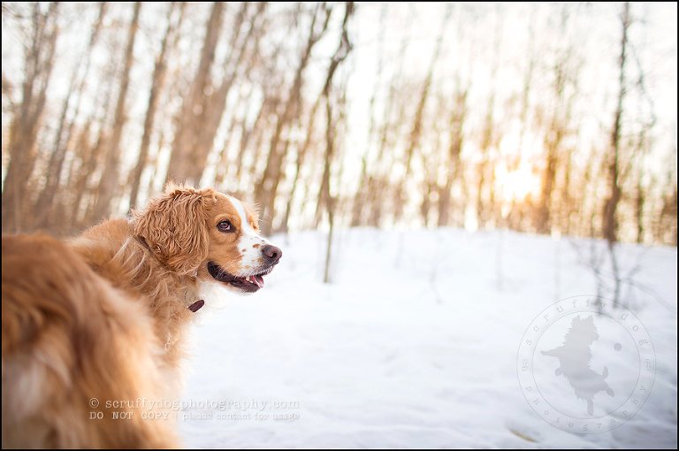 24 woody christensen-180