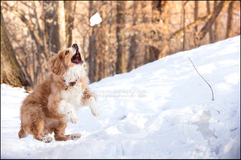 25 woody christensen-68