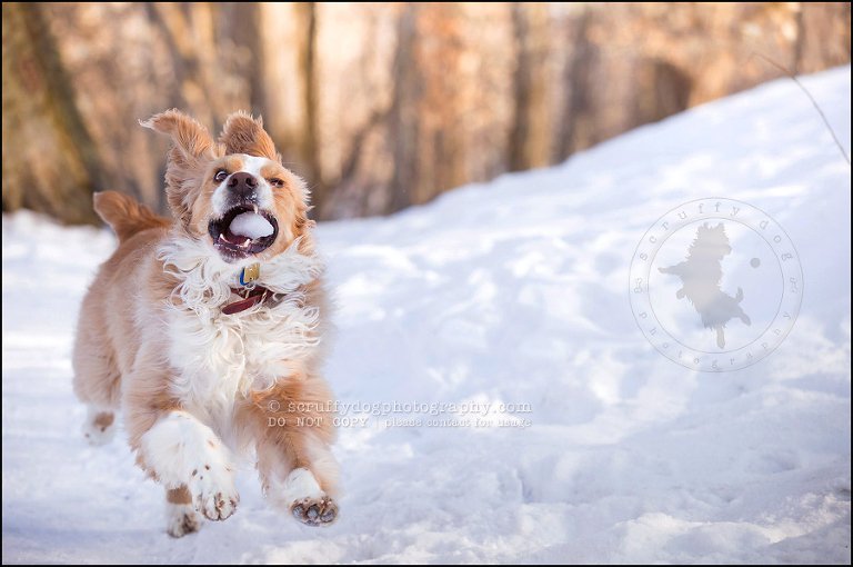 26 woody christensen-47