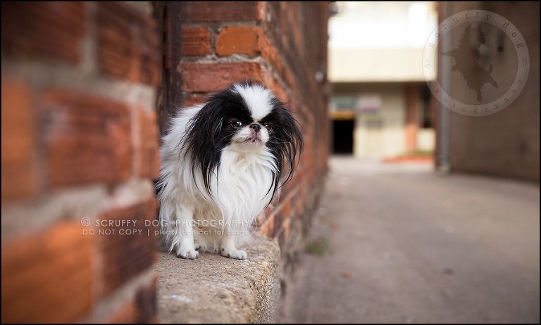 boey huey zoey szeto-4