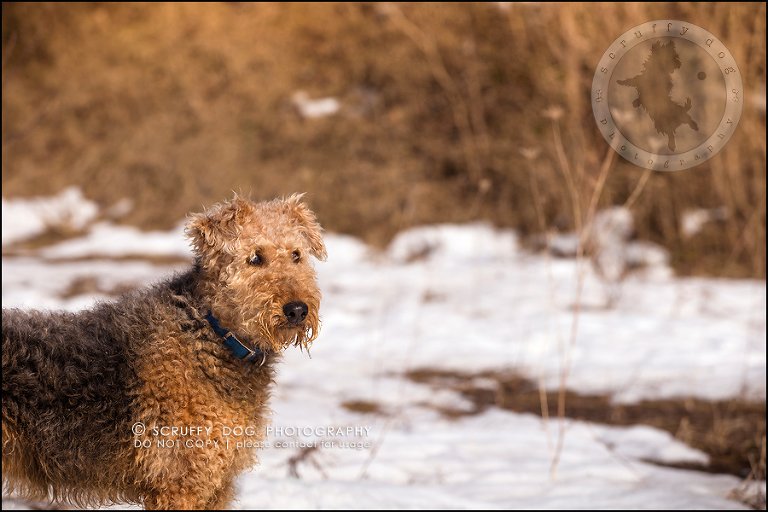 cobi ivy chagnon-146