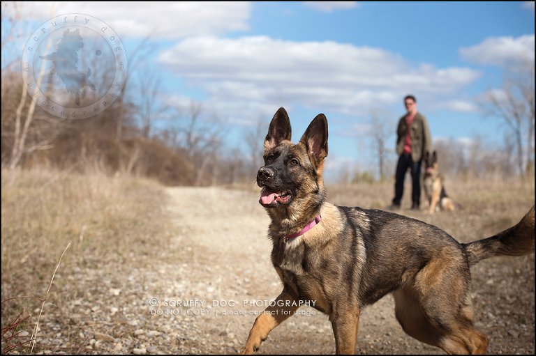 07-toronto-ontario-best-professional-pet-photographer-blitz zelda baker-101