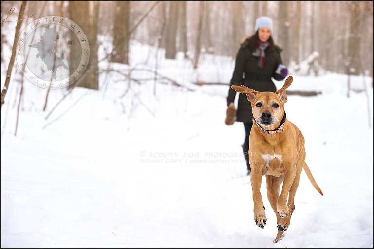 09-waterloo-ontario-professional--dog-photographer-best-makeda slinger-72