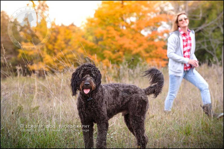 12_waterloo_ontario_best_pet_photographer_murphy odonovan-315