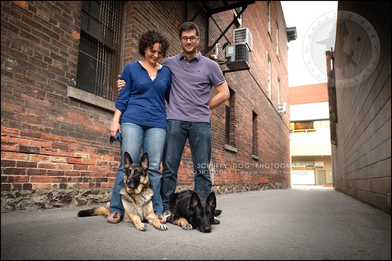 13-toronto-ontario-best-professional-pet-photographer-maya blitz-903