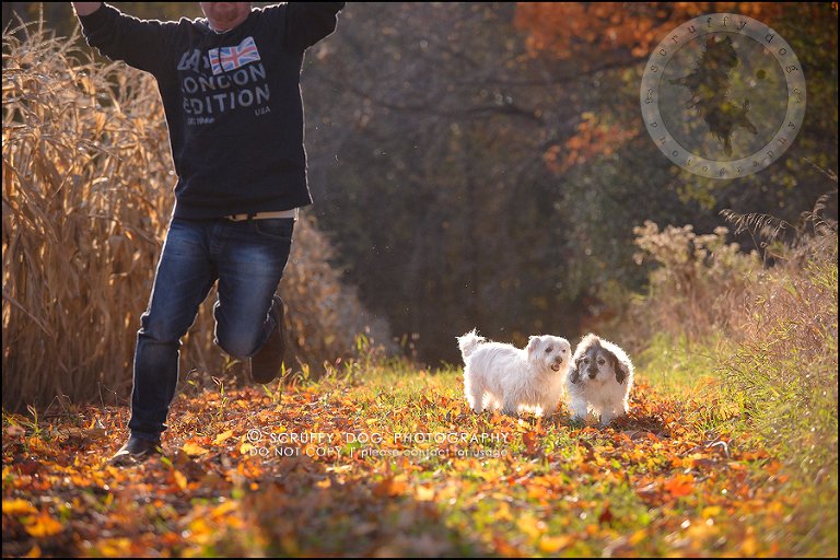 20-toronto-ontario-best-professional-pet-photographer-mika bobby worton-864