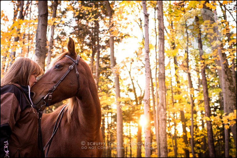 28-toronto-ontario-best-professional-pet-photographer-mika bobby worton-1408